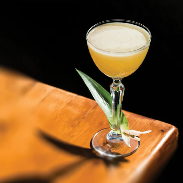 Libbey Speakeasy 4.75 Oz. Customizable Nick And Nora Glass - 12/Case - Image 3