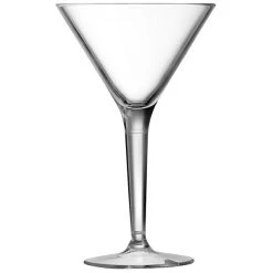 Arcoroc E6132 Outdoor Perfect 10 Oz. SAN Plastic Martini Glass By Arc Cardinal - 24/Case