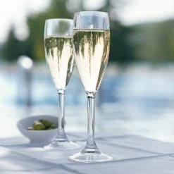 Arcoroc E6125 Outdoor Perfect 5 Oz. SAN Plastic Champagne Flute By Arc Cardinal - 36/Case