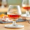 Acopa Select 9 Oz. Brandy Snifter - 12/Case